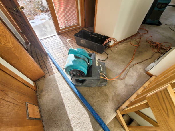  Coarsegold, CA Water damage restoration Pros