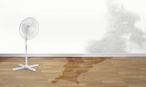 Best Water damage restoration near me  in Coarsegold, CA