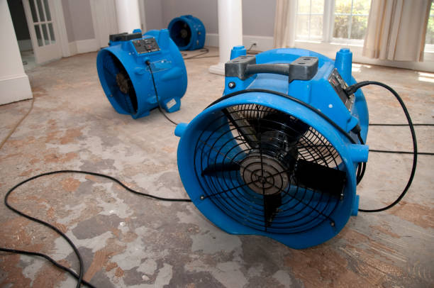 Best Sewage cleanup and water damage restoration  in Coarsegold, CA